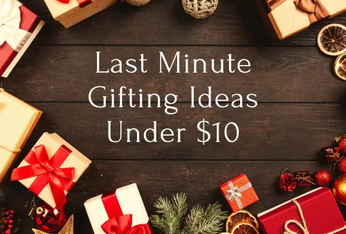 Last Minute Gifting Ideas Under 